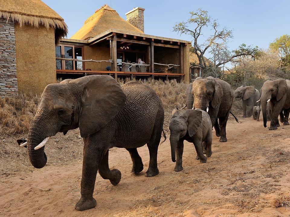Villa Jabulani Safari Kapama Game Reserve Exterior foto