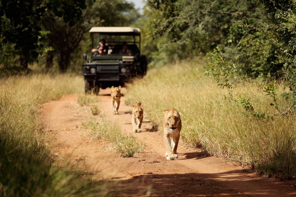 Villa Jabulani Safari Kapama Game Reserve Exterior foto